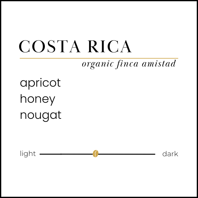 Costa Rica Finca Amistad | Organic