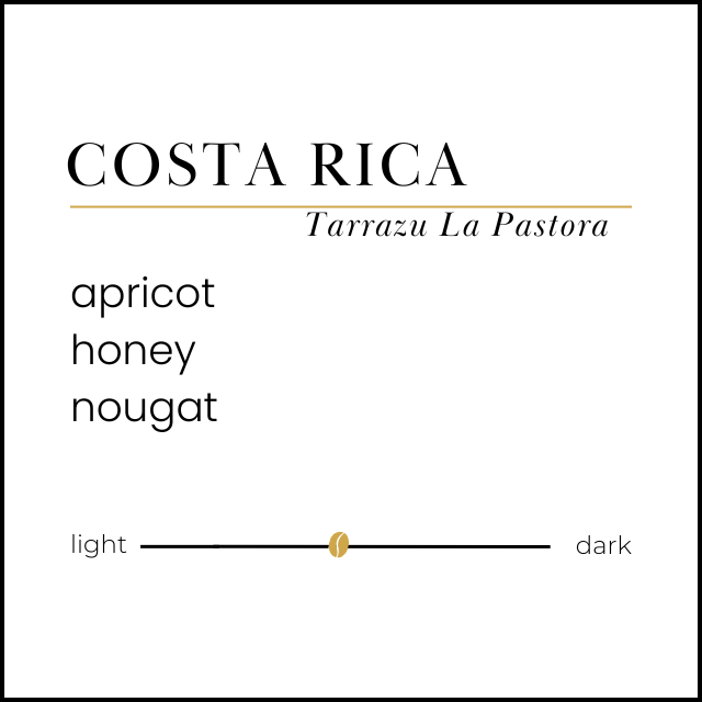 Costa Rica | Tarrazu La Pastora